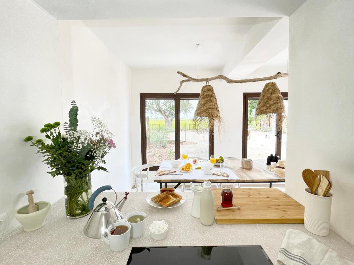 Mas D'En Mas Villa Camarles ภายนอก รูปภาพ